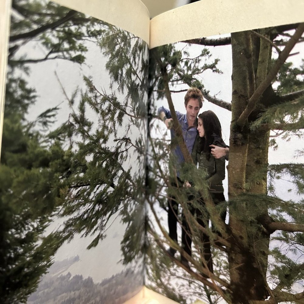 Twilight Directors Notebook - Picture 3 of 3